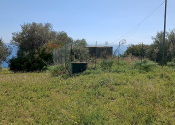 Giardino - Rustico contrada mastrissa
 
snc, Castelmola - foto 10