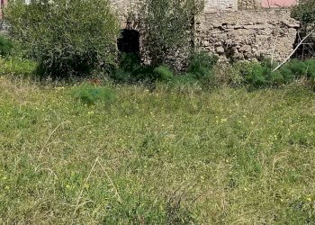 Giardino - Rustico contrada mastrissa
 
snc, Castelmola - foto 11