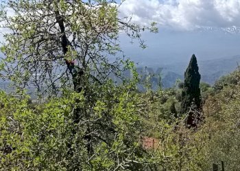 Non correlato - Rustico contrada mastrissa
 
snc, Castelmola - foto 26