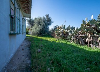 Giardino - Villa Via B.F. Spinelli
 
11, Pachino - foto 43