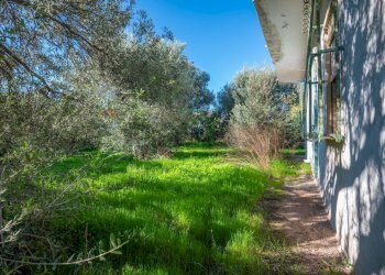 Giardino - Villa Via B.F. Spinelli
 
11, Pachino - foto 47