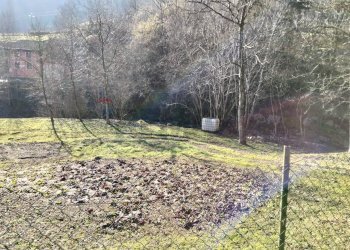 Giardino - Casa indipendente Via Gisbenti
 
16, Valli del Pasubio - foto 14