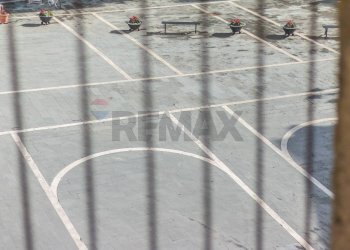 Dettagli - Rustico Colle San Martino
 
165, Farnese - foto 24