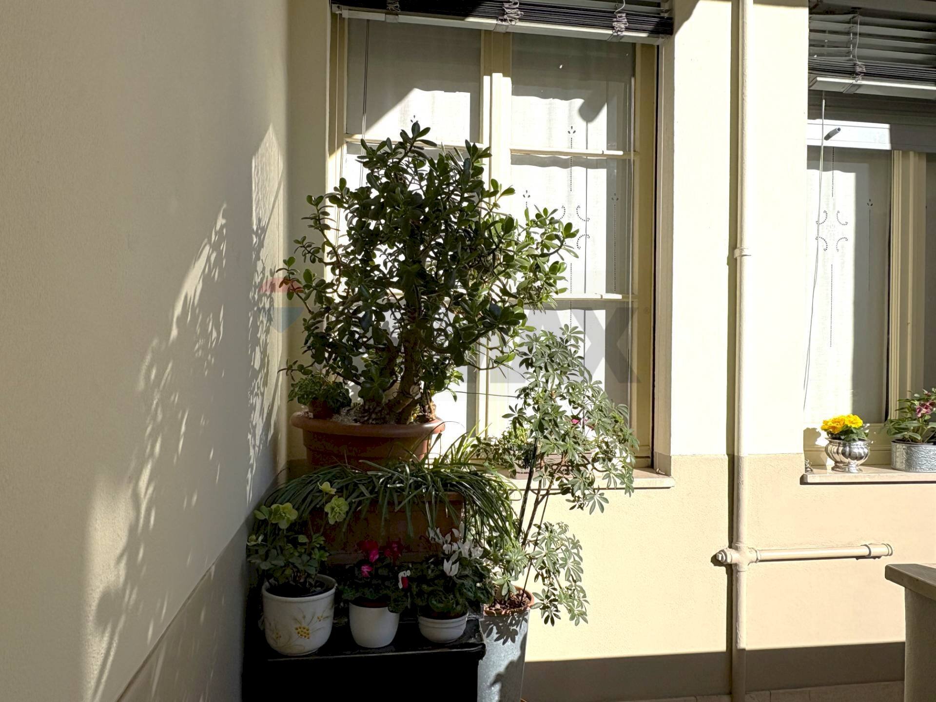 Balcone - Trilocale Viale Certosa
109, Milano - foto 2