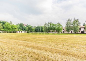 Giardino - Rustico Magnago - foto 20