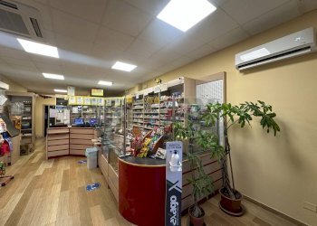 Dispensa di stoccaggio - Attività Commerciale via Falcone Borsellino
 
100, Termini Imerese - foto 12