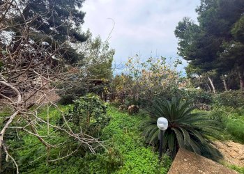 Giardino - Villa Via Irako
 
5, San Vito Lo Capo - foto 18