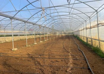 Vista dell\'acqua - Farm Partinico - photo 4