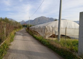 Vista delle montagne - Farm Partinico - photo 11