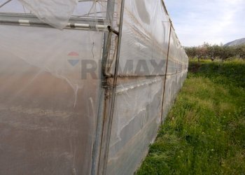 Giardino - Farm Partinico - photo 15