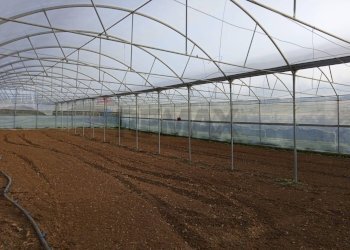 Vista dell\'acqua - Farm Partinico - photo 17