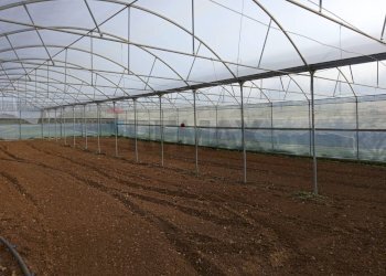 Vista dell\'acqua - Farm Partinico - photo 18