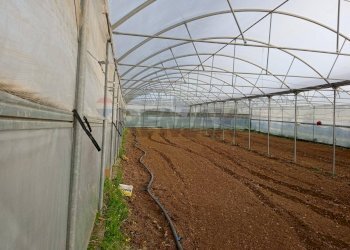 Vista dell\'acqua - Farm Partinico - photo 19