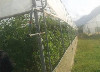 Vista delle montagne - Farm Partinico - photo 22