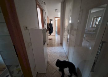 Foto 17 - Four-room apartment via acqua delle noci
 
13, Monteforte Irpino - photo 17