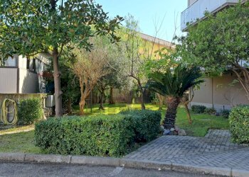 Giardino - Appartamento Corso Umberto I
 
450/B, Montesilvano - foto 5