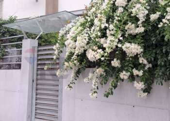 Edificio all\'aperto - Villa Bifamiliare Via Alcide De Gaspari, Montesilvano - foto 1