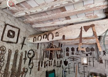 Foto 71 - Villa via Roma
 
10, Pescaglia - foto 71