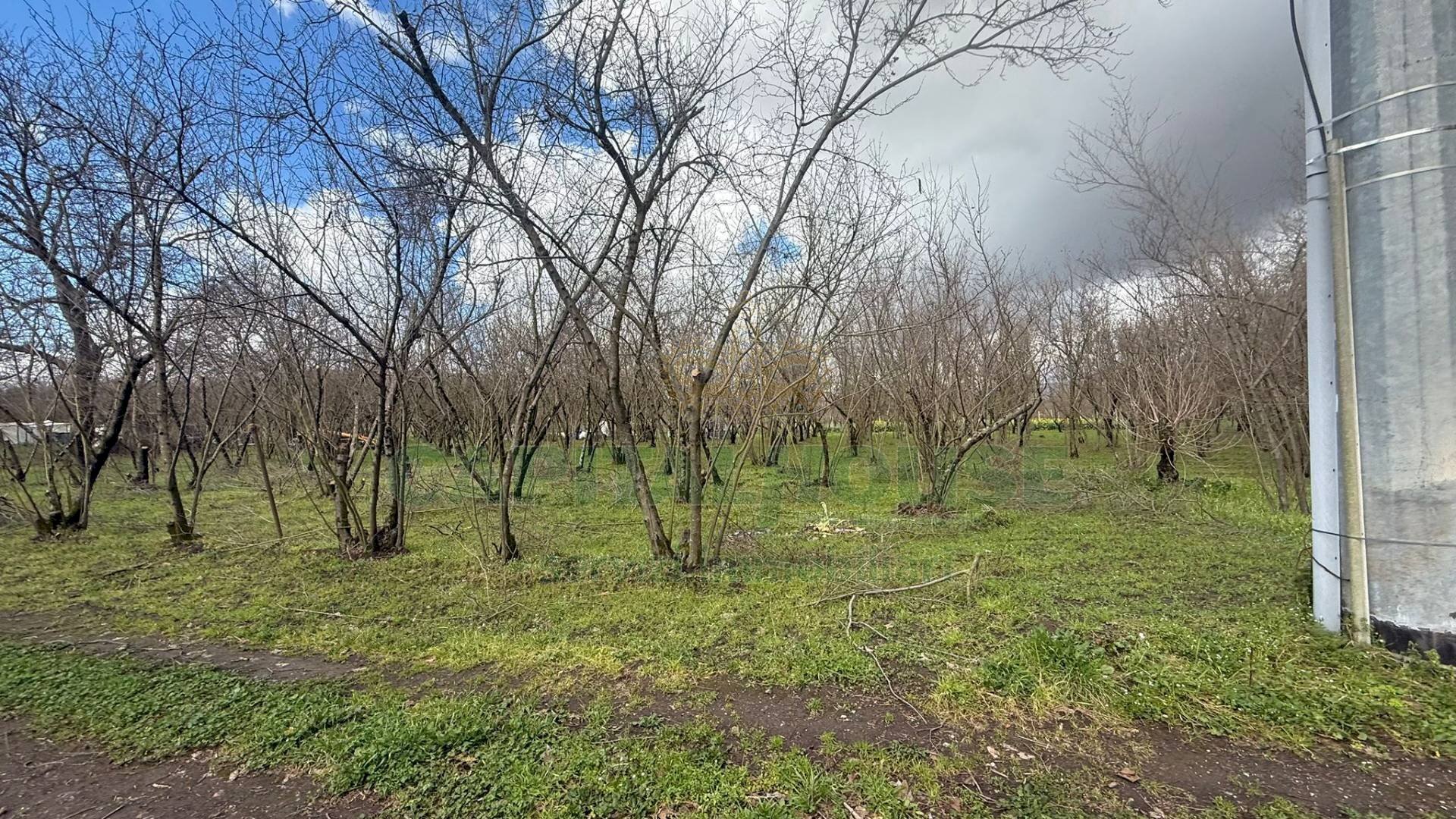 Foto 1 - Terreno agricolo Saviano, Saviano - foto 1