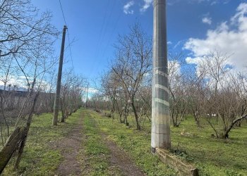 Foto 4 - Terreno agricolo Saviano, Saviano - foto 4