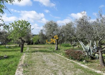 Foto 24 - Villa Strada Comunale Parco Balistris, Polignano a Mare - photo 24