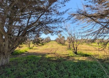 Foto 34 - Villa contrada nanni, Gallipoli - foto 34