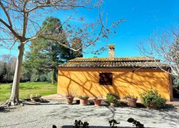 Giardino - Villa via Alcide De Gasperi, 1, Offagna - foto 8