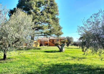 Terreno - Villa via Alcide De Gasperi, 1, Offagna - foto 9
