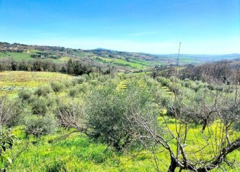 Vista - Villa via Alcide De Gasperi, 1, Offagna - foto 15