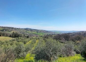 Vista - Villa via Alcide De Gasperi, 1, Offagna - foto 17