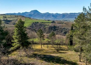 Terreno - Rustico via San Marco di Sopra, 1, Cupramontana - foto 31