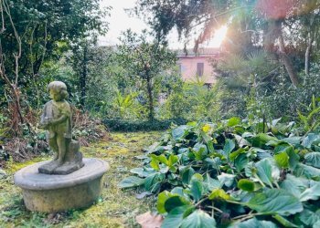 Giardino - Villa via Roma, 5, Fagnano Olona - foto 29