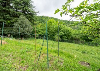 Baita via Lungaserra, 14, Barge - photo 21