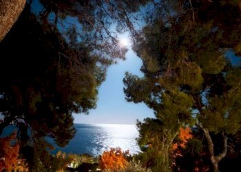 Vista - Cafeteria - Cold Bar Sanremo - photo 6