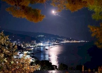 Vista - Cafeteria - Cold Bar Sanremo - photo 7