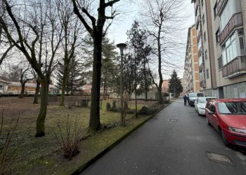 Zona - Box strada del Drosso, 184, Torino (neighborhood Mirafiori Sud) - photo 6