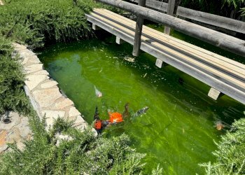 Foto 20 - Villa Località Pispino
 
snc, Monte Argentario - foto 20