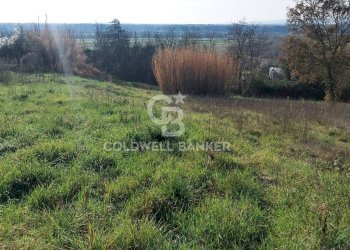 Foto 4 - Terreno edificabile Località Colle Tascione, Magliano Sabina - foto 4