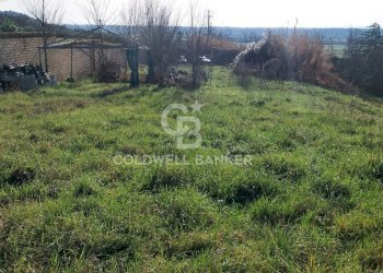 Foto 10 - Terreno edificabile Località Colle Tascione, Magliano Sabina - foto 10