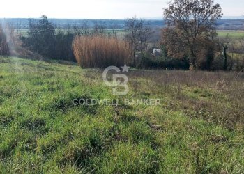 Foto 11 - Terreno edificabile Località Colle Tascione, Magliano Sabina - foto 11