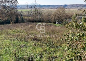 Foto 12 - Terreno edificabile Località Colle Tascione, Magliano Sabina - foto 12