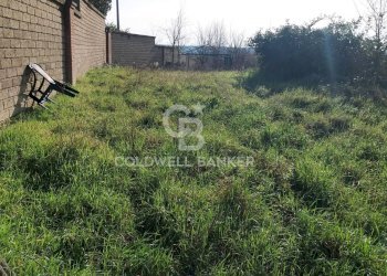 Foto 13 - Terreno edificabile Località Colle Tascione, Magliano Sabina - foto 13