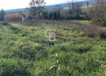 Foto 15 - Terreno edificabile Località Colle Tascione, Magliano Sabina - foto 15