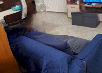 Salone - Bilocale via Sergio Piombelli, 24, Genova (zona Sampierdarena) - foto 49