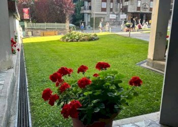 Giardino - Attività Commerciale viale Abruzzi, Milano (zona Città Studi) - foto 10