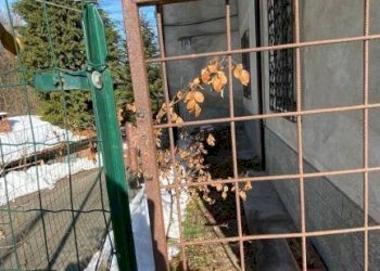 Balcone - Casa indipendente Borgata Fiolera, Chiusa di Pesio - foto 30