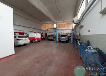 Interno non residenziale - Capannone Bologna (zona San Vitale) - foto 6