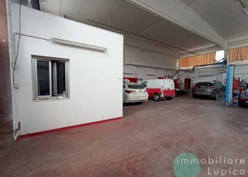 Interno non residenziale - Capannone Bologna (zona San Vitale) - foto 7