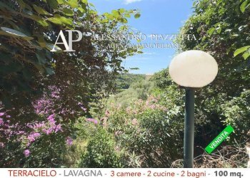 Giardino - Villa a Schiera Lavagna - foto 24