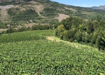 Villa Vergato - foto 7